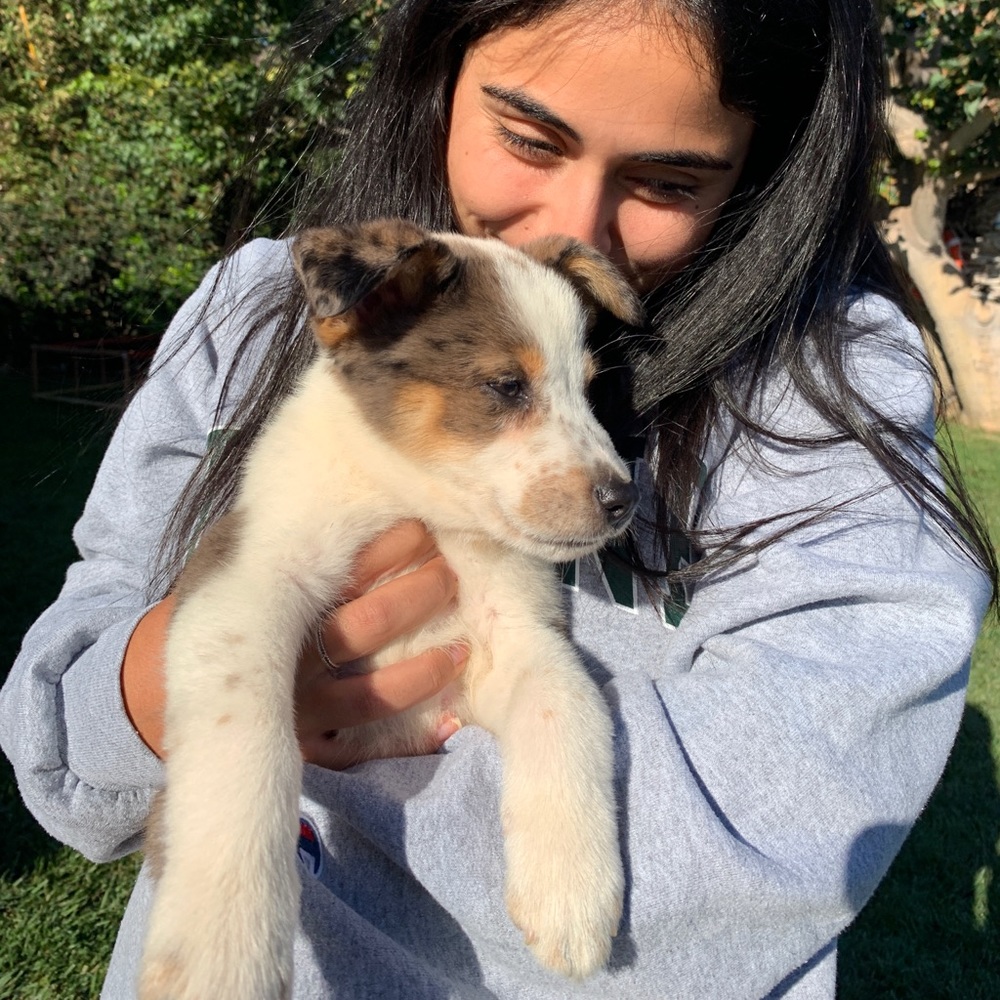 Meet your Posher, Liana